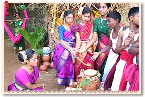 pongal-chennai